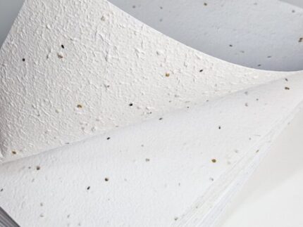 Blooming A4 paper (eggplant seeds)