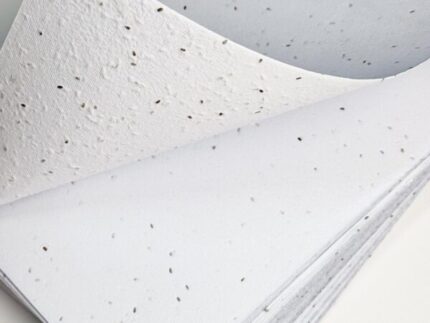 Papier kwitnący A4 (nasiona maciejki)