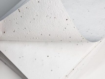 Papier kwitnący A4 (nasiona marchwi)