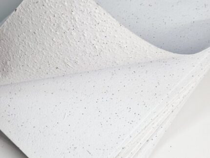 Blooming A4 paper (petunia seeds)