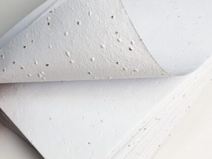 Papier kwitnący A4 (nasiona pomidora)