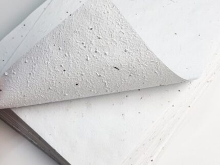 Blooming A4 paper (arugula seeds)