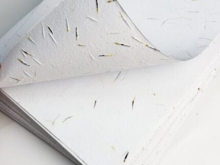 Papier kwitnący A4 (nasiona aksamitki)